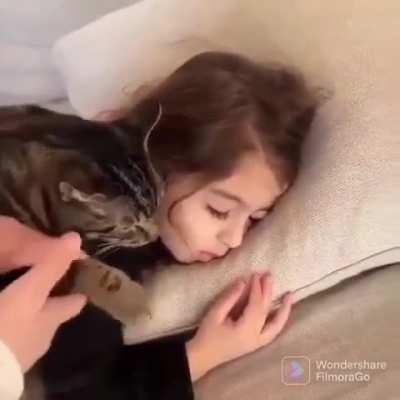 Taking a nap w/ my human