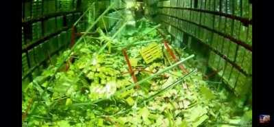 ‘Pardon me, I’m gonna squeeze by with my forklift in this dangerously packed warehouse...what could go wrong???’