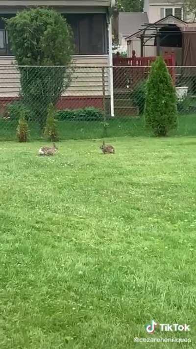 You dare challenge me, mortal