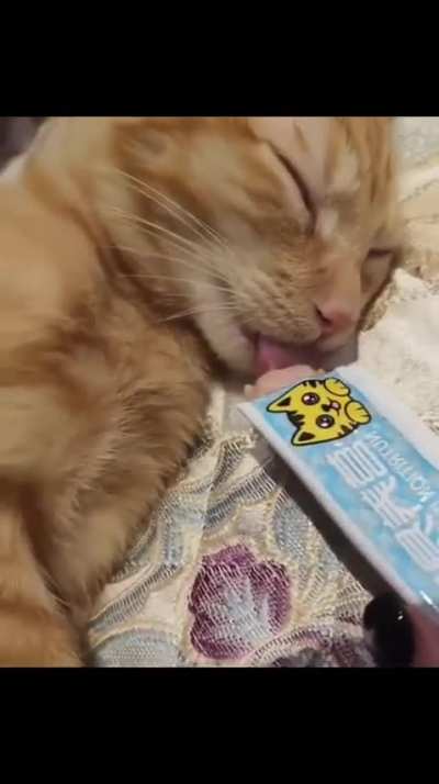 He was out cold with his tongue out… couldn’t resist the tuna test.
