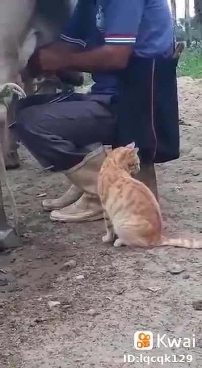 Something tells me that it’s not the first time for either of the three.