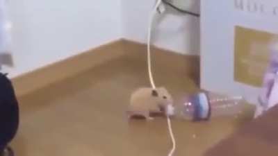 Let's party! oh wait. Yeah! wait... hold up... Yeah! LETS GOOOOO! oh wait...