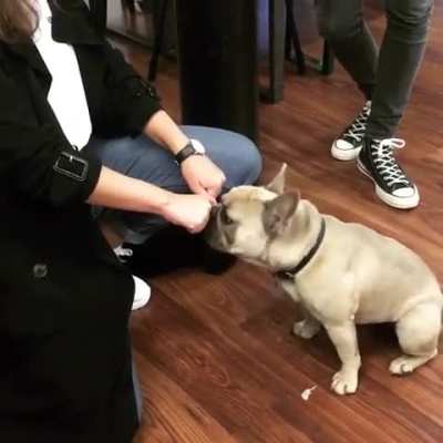 If at first you don’t succeed...try try the same thing again.