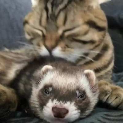 I guess I'm getting a bath now