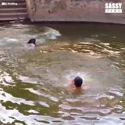 At least one of these belongs here.