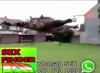 dm me 4 WHATSAP SEXKS😻😻😼😼😈😈