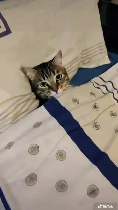 Bro thinks he is the one who pays the bills