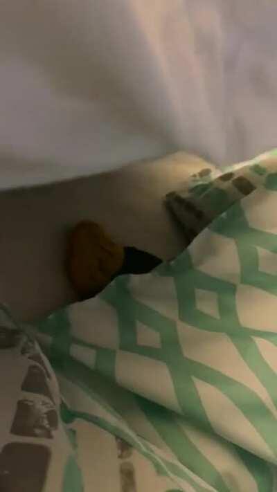 So sorry to have disturbed you strange chicken... 🥱😶