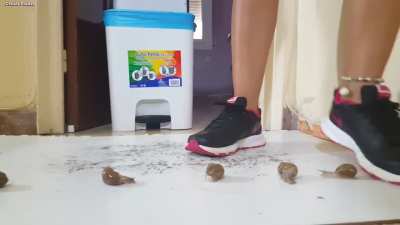 I have videos of women crushing in sneakers and boots, so message me if you’re interested.