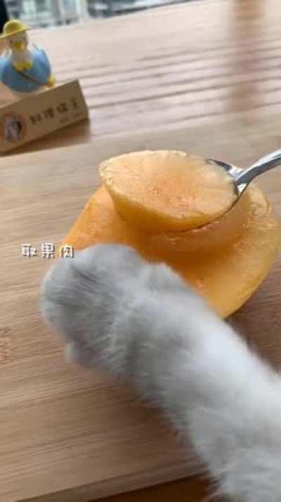 Various fruit cocktails