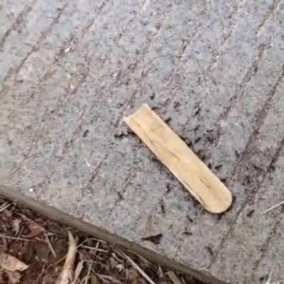 We do a little trolling 