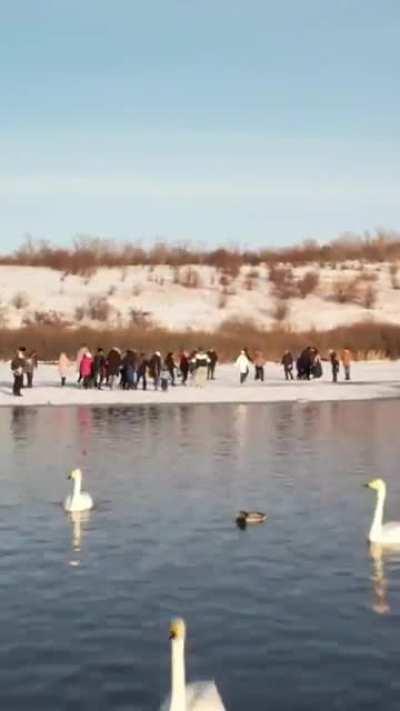 WCGW crowding on thin ice