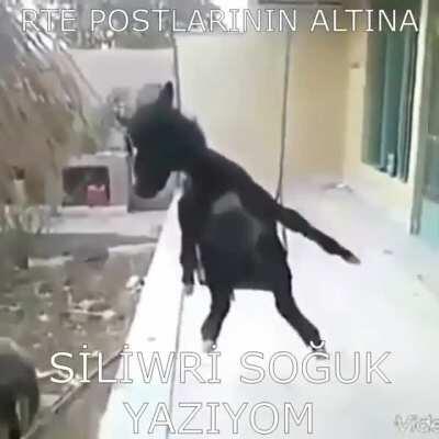 Ulan bu orospu cocukları yüzünden ağzımızı açamıyoruz. Bunları bulup götten sikmek lazım