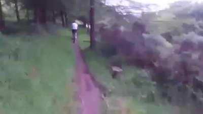 They are not the wild animals I wanted to find in the mountain