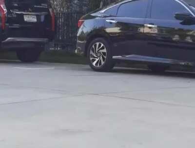 I found this video on the web seems epic...