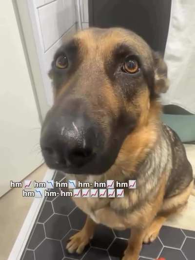 seguidores_de_lo_toad - Video #5225