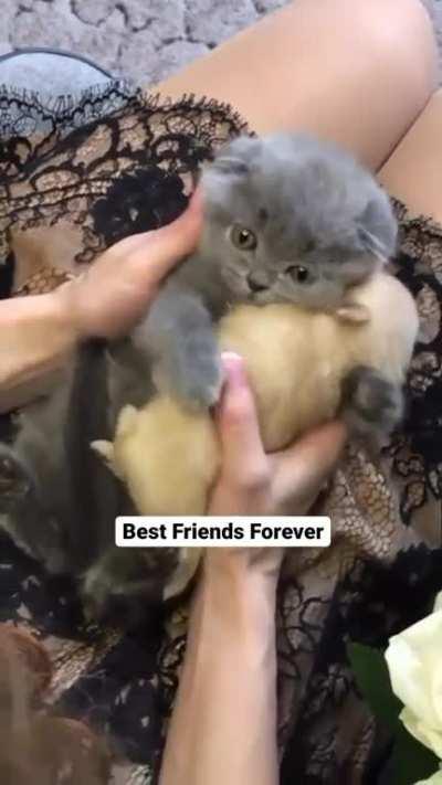 Baby hugging smol baby