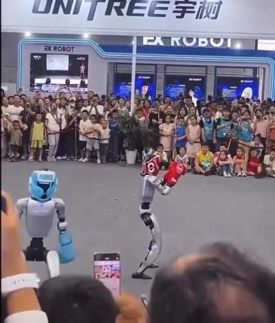 Robot boxing