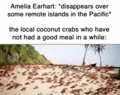 Looks like we're having American for dinner!