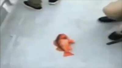 music make you lose control music make you lose control music make you lose control music make you lose control music make you lose control music make you lose control music make you lose control music make you lose control music make you lose control mus