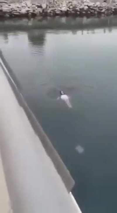A tourist decided to swim in the sea at Baku Boulevard