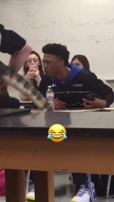 This Guy's Reaction To The Animals In His Zoology Class