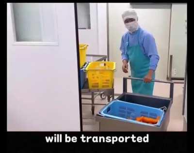 How japanese school lunches are prepared