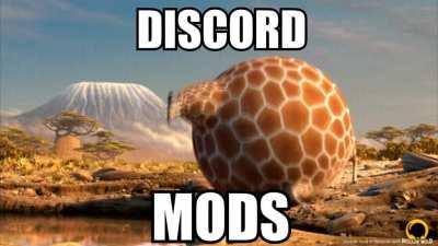 discord mods