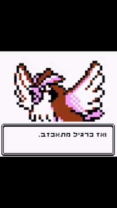 פוקימון_לך_במ