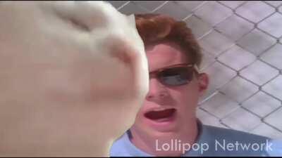 Cat Vibing To Never Gonna Give You Up