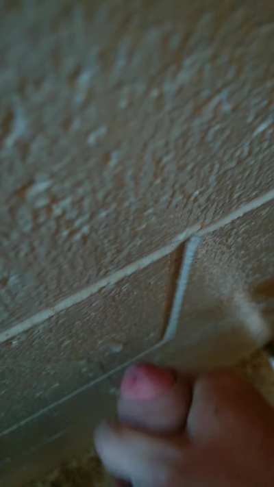 (34) toilet wall needed a few touch ups