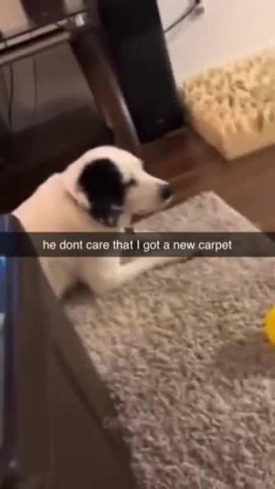 he just doesn't care