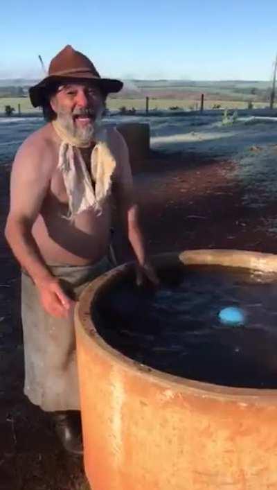 É assim mesmo na sua terra natal Cellbit?