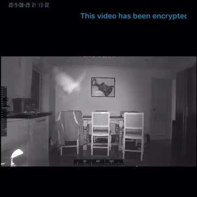 My cat realising I put foil on the counter to stop him jumping up