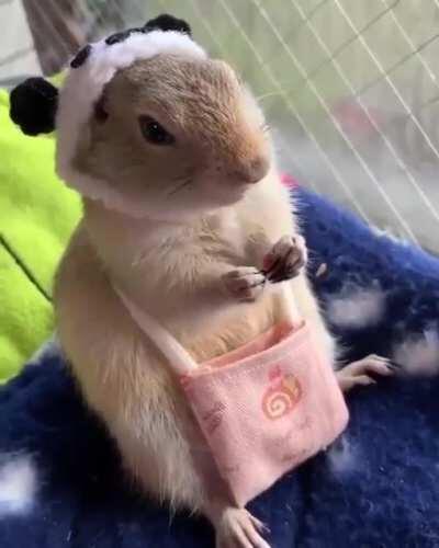 Self sufficiency please