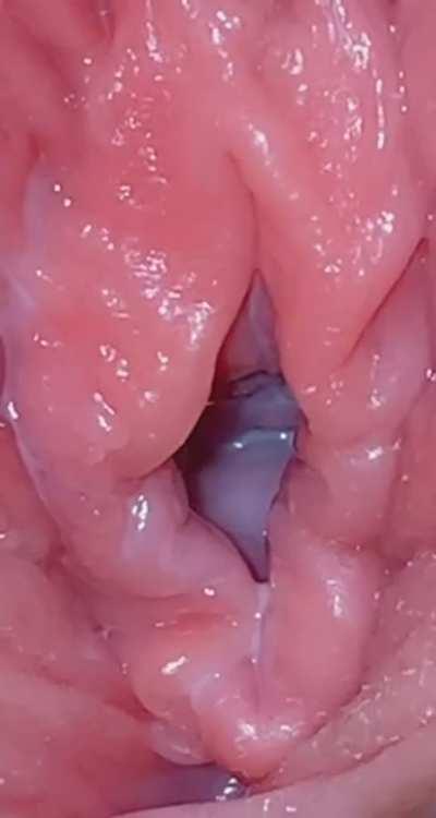 If you were wondering what my insides look like