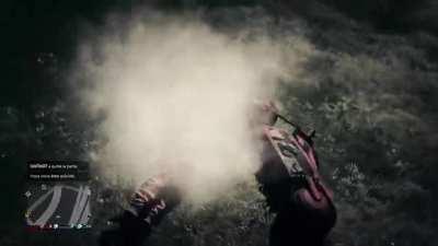 [Gta 5] That's a weird way to react to a collision