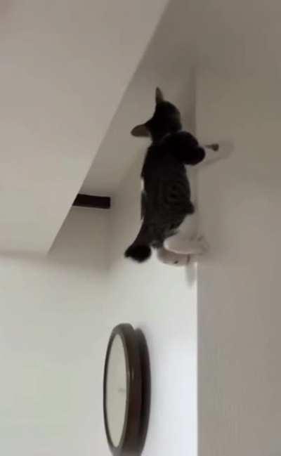 Do not no why, but up I go