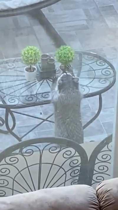 Just making things nice...