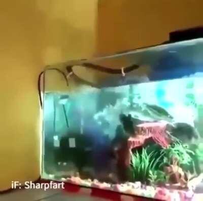 Me asusta la evolución