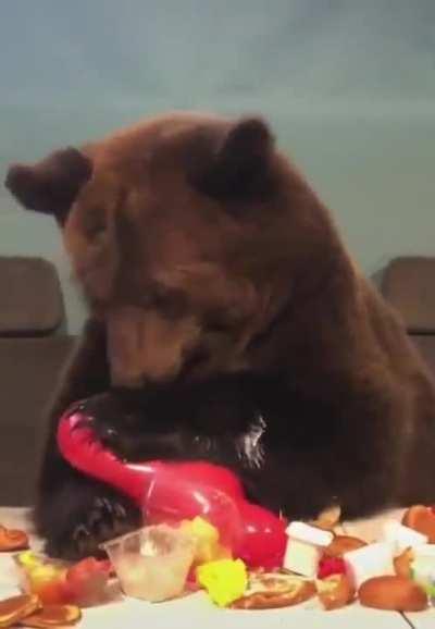 Bear popping a balloon.