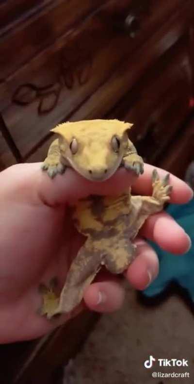 No thoughts, head empty