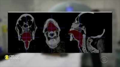 Incredible: Scientists have recreated a mummy's voice