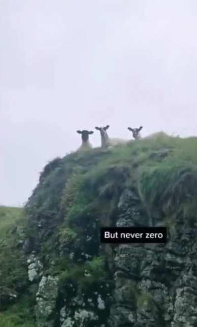 You can never feel safe