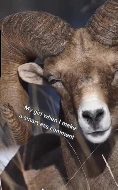 You're really in danger.