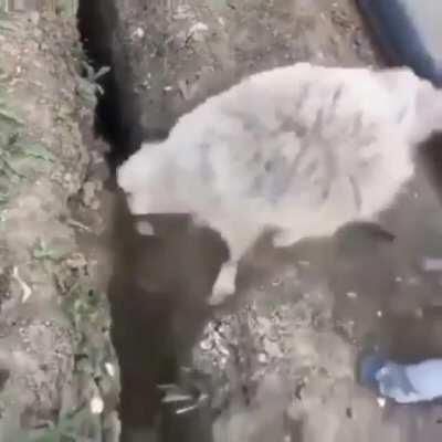 pov: x finally finishing his 100 months in jail