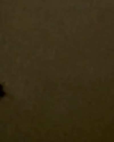 New Mr. Miyagi snippet posted by Shaun Enzo, Shaun Enzo was with Fivio Foreign when Fivio posted the new Ye snippet on his instagram