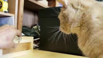 A battle for the ages