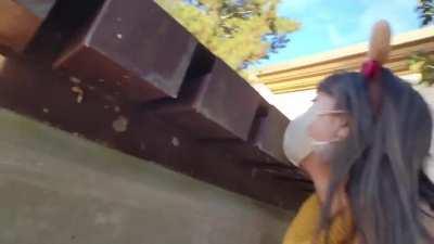 Sneak peaking a deer