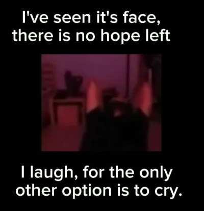 Why am I still awake 